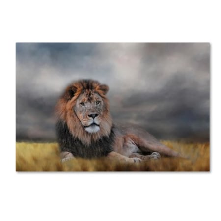 Jai Johnson 'Lion Waiting For The Storm' Canvas Art,22x32